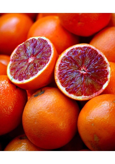 Tüplü Aşılı Red Blood Orange Portakal Fidanı 2 Yaş 90-110 Cm Boy