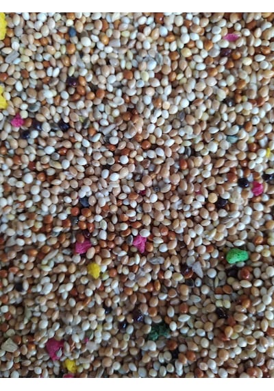 Meyveli Muhabbet Karışık Kuş Yemi 5 KG