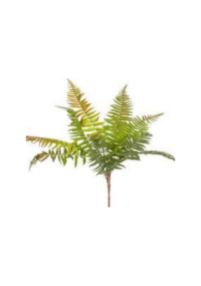 Yapay Bitki Fujer/eğrelti Otu Kızıl/yeşil 75 Cm Çok Renkli