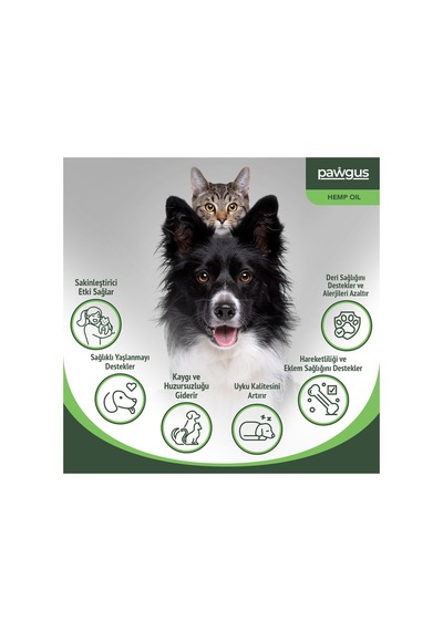 Kenevir Yağı - Kedi Köpek Sakinleştirici - Stres, Artrit, Nöbet, İştah, Uyku Takviyesi