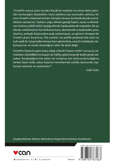 Bir Fili Vurmak