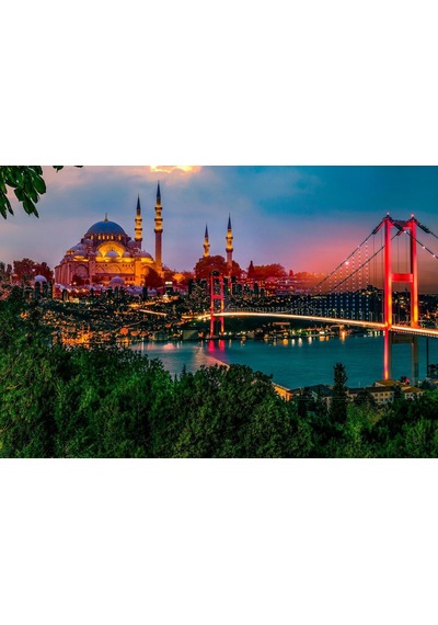 İstanbul Camii Manzara Ev Duvar Salon Güzellik Salonu Ofis Dükkan Dekarasyon Kanvas Tablo
