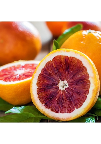 3 Yaş Aşılı Kan Portakalı Fidanı