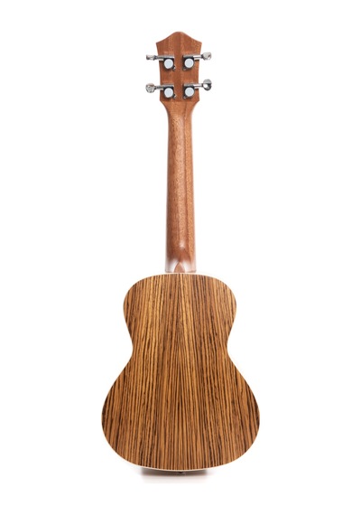 Havana Hk-74 Concert Ukulele + Taşıma Çantalı