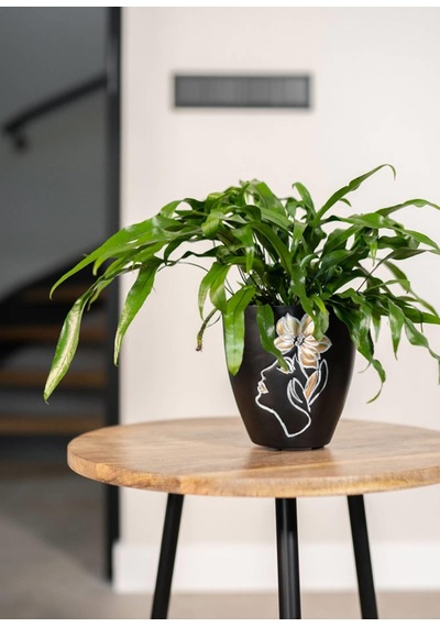 Lea İnsan Figürlü Siyah Metal Saksı Çap 18cm Yükseklik 19cm