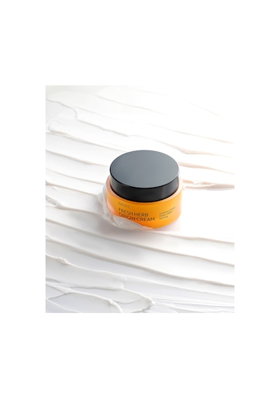 NACIFIC Fresh Herb Origin Cream 50 ml , Bitki Özleri + Nem Bariyeri Desteği , Canlandırıcı Nemlendirici