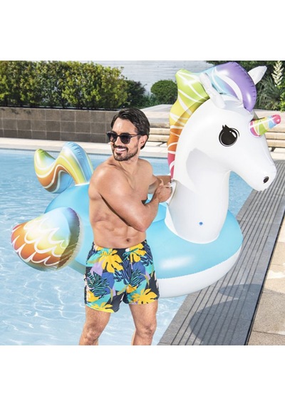 Unicorn Yüzme Simidi 41113