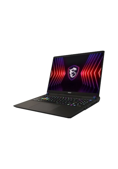 MSI Vector 16 HX A13VHG-495TR i7-13700HX 16 GB 1 TB SSD RTX4080 16" W11H Dizüstü Bilgisayar (Outlet)