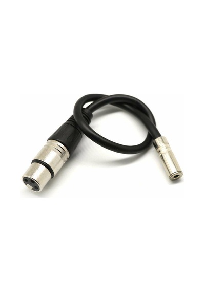 3.5 MM Dişi-XLR Dişi Çevirici Kablo 20 CM