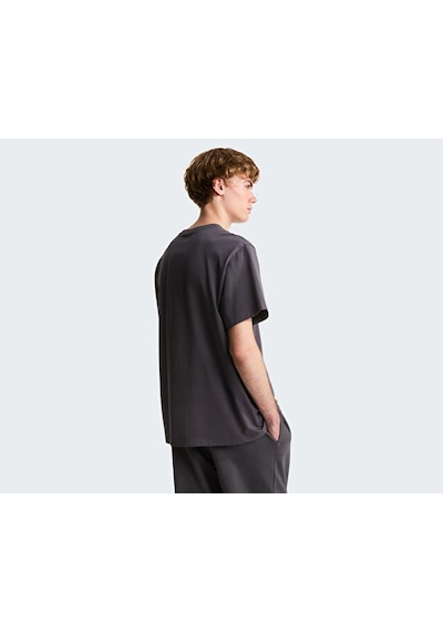 The North Face M Essential Center Logo Relaxed Erkek Outdoor Tişörtü Nf0a8gqerhı1 Gri