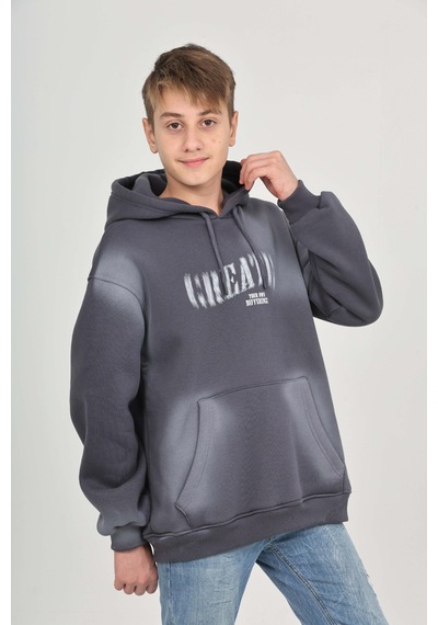 Toontoy Kids Toontoy Erkek Çocuk Pistole Baskılı Sweatshirt Füme