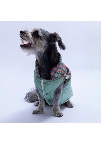 Yeşil Plaid Ekose Desen Yelek Köpek Yeleği Köpek Kıyafeti Köpek Yağmurluk