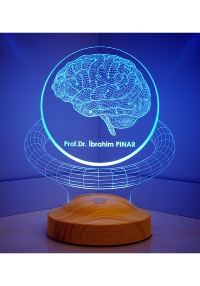 3D Profesör Doktor Beyin Hediyesi Kişiye Özel 3 Boyutlu Led Lamba