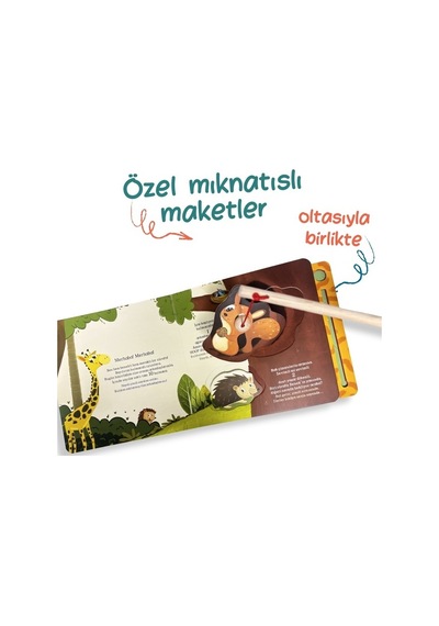 Sincap Kitap Senin Sayende Sayalım Mı Oltalı Kitap