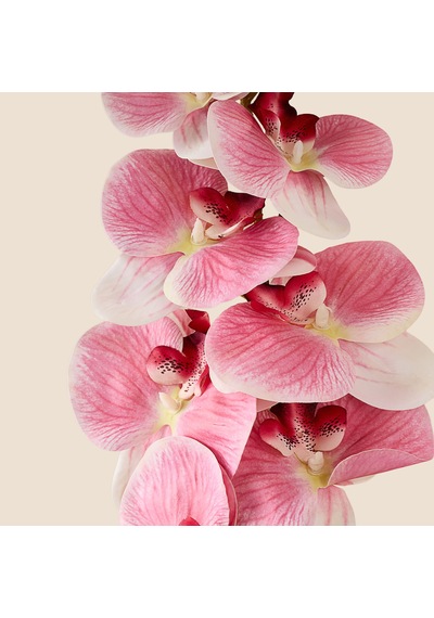 Deco Orkide Yapay Dal Çiçek - Pembe - 104 Cm Çok Renkli