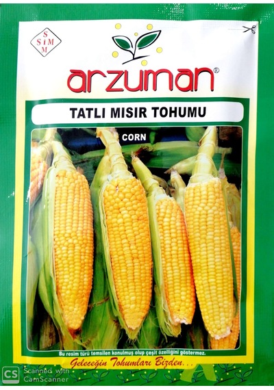 Tatlı Mısır Tohumu 25 GR Hibrit Şeker Mısır