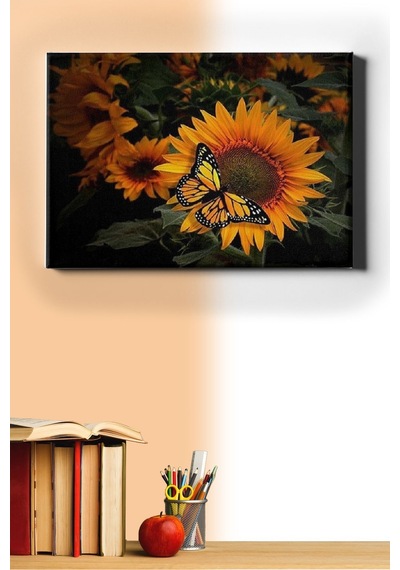 Webstyle Sayılarla Boyama Seti Kasnaklı Kelebeğin Keyfi 50 X 65 Cm