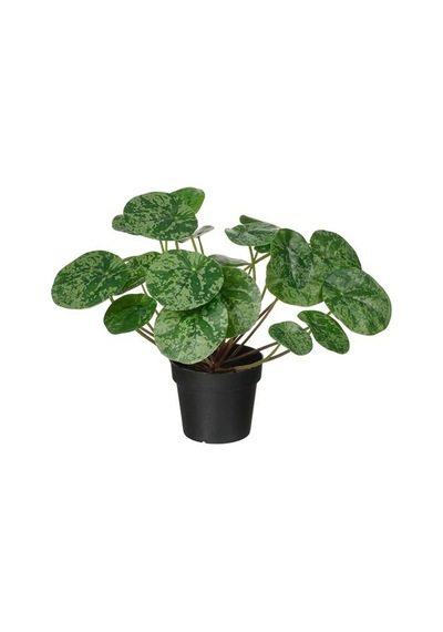 Ikea Fejka Yapay Bitki, Yeşil, 9 Cm, İç/dış Mekan Pilea