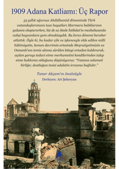 1909 Adana Katliamı - Üç Rapor