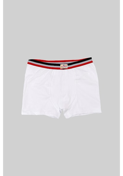 Ceylanoğlu 6'lı Beyaz Erkek Çocuk Sade Boxer-343-1 Beyaz