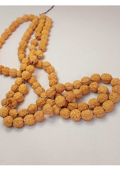Açık Renk Süt Rudraksha Tohum Dizi 8-9mm Aralığı Mala Yapımı İçi Çok Renkli