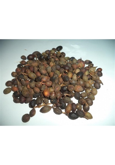Defne Tohumu 1  Kg