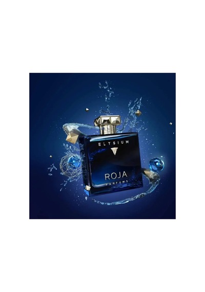 Roja Elysium Pour Homme Edp 100ml Diğer