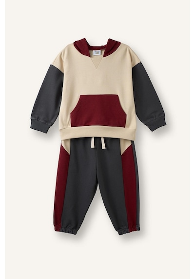 Defacto %100 Pamuk Etiket Baskılı İnce Sweatshirt Kumaşı 2li Takım Erkek Bebek F9452a526wnar202 Antrasit-ar202