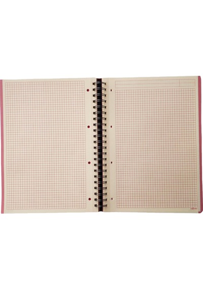 Le Color Lynel Renkli Sert Kapak Spiral Kareli Defter - 2 Adet
