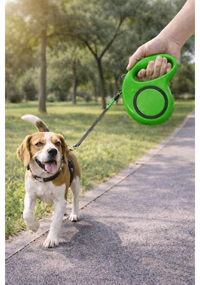 5 Metre Otomatik Geri Sarımlı Köpek Gezdirme Tasması, Dayanıklı Retractable Pet Leash, Ergonomik Kaymaz Tutma Sapı, Güçlü Metal Klips, Küçük Orta Irk Evcil Hayvanlar İçin Yeşil Diğer