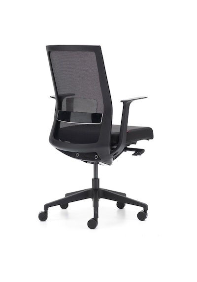 Rapido Rapido Ergonomik Çalışma Koltuğu A-One