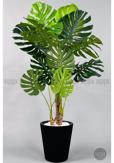 Biçiçek Yapay Monstera Ağacı Deve Tabani 160 Cm Si̇yah Luna Saksıda