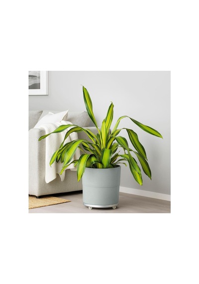 Plastik Saksı, Gri, 32 Cm