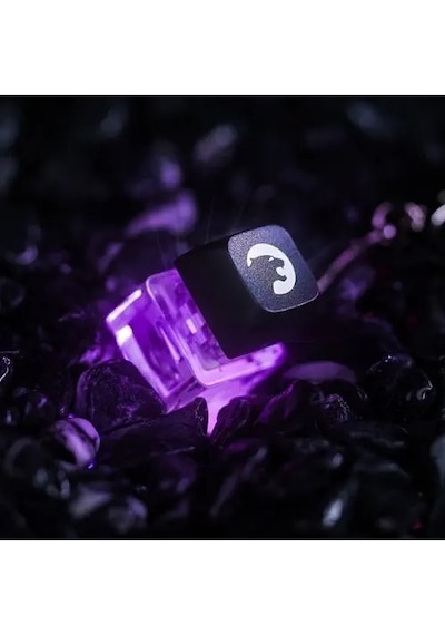 Gamepower Mavi Switch Tuş Takımlı Rgb Anahtarlık