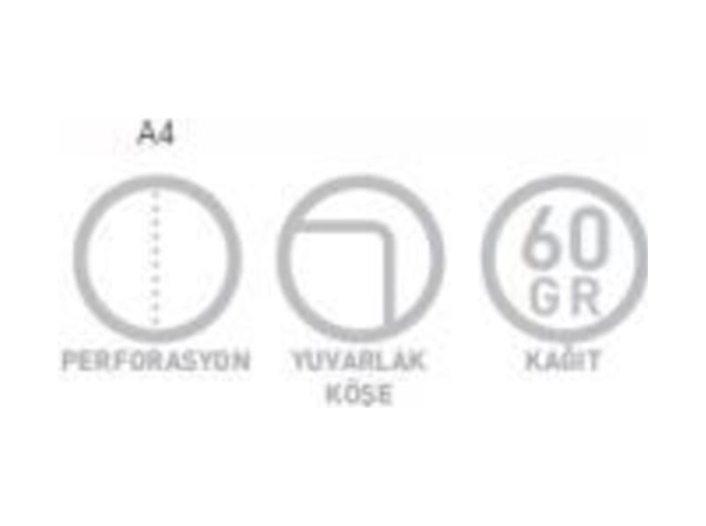 Pastoral A4 Spiralli Pp Kapak Defter 120 Yaprak Çizgili 3 Lü Paket 3247