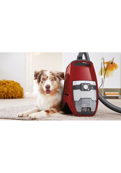 Miele Blizzard CX1 Cat-Dog Powerline SKCF3 890 W Toz Torbasız Elektrikli Süpürge