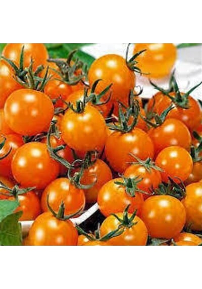 5 Adet Tropikal Nadir Turuncu Çeri Domates Tohumu..