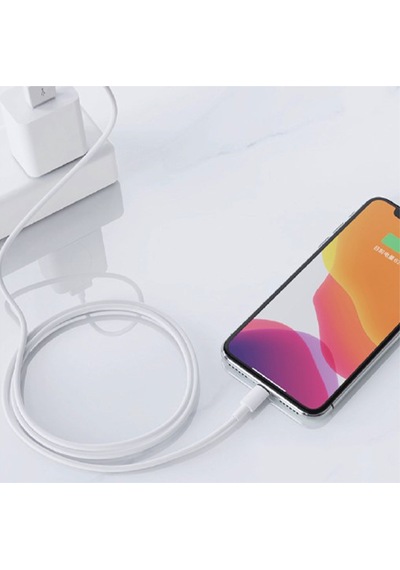 Nettech NT-20 Plastik 100 CM Lightning Şarj Ve Data Kablosu Beyaz