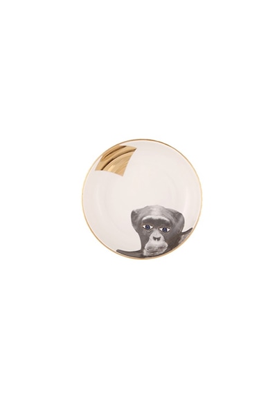 Porland Wild Life 4'lü Kase Takımı 17 CM