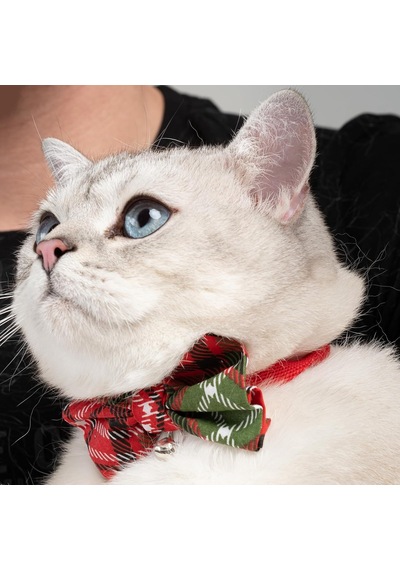 Patipatron Ayarlanabilir Yeni Yıl Papyonlu Kedi Tasması Çınçınlı