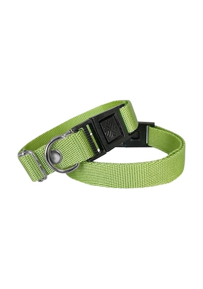 Köpek Tasması Dokuma 2 Cm - Min: 30 Cm - Max: 50 Cm Yeşil Çok Renkli