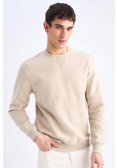 DeFacto Regular Fit Bisiklet Yaka Kalın Basic Düz Sweatshirt T3777AZ25SPBG735