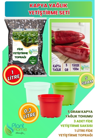 Kapya Biber Yetiştirme Seti Kapya Biber Tohumu + Karışımlı Fide Toprağı + 3 Lü Drenajlı Saksı