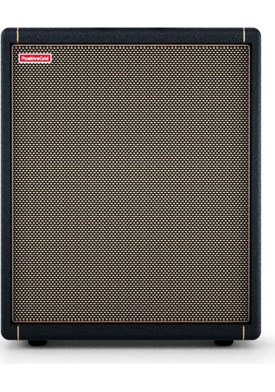 Positive Grid Spark Cab 140w Frfr Gitar Amfi Hoparlörü, Spark Serisi Ve Modeler Uyumlu Stereo Amfiler Siyah