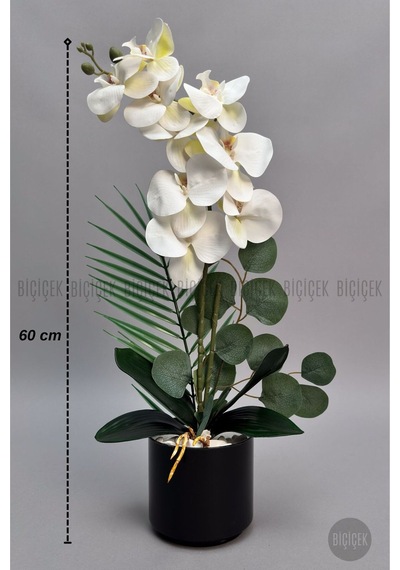 Yapay Phalaenopsi S Beyaz Orki De 60 Cm Siyah