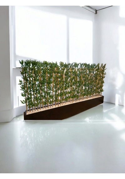320 Cm Saksıda 170 Cm Bambu Sperator Yeşil