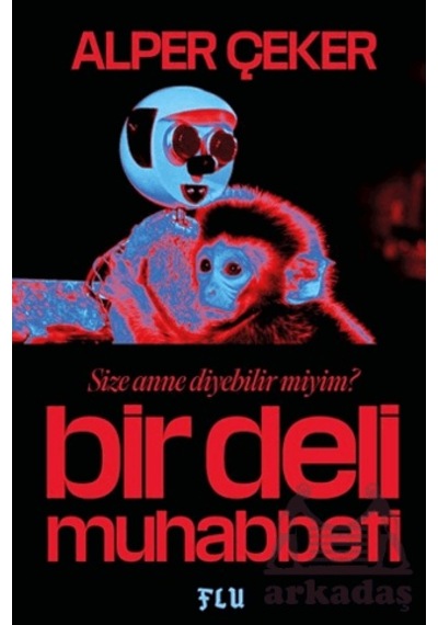Bir Deli Muhabbeti Flu Kitap