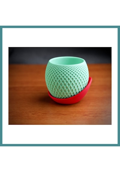 Trendexa 3d Baskı Küre Saksı - Kafes Dokulu İki Parçalı Dekoratif Saksı - Mint-kırmızı Mac Standart