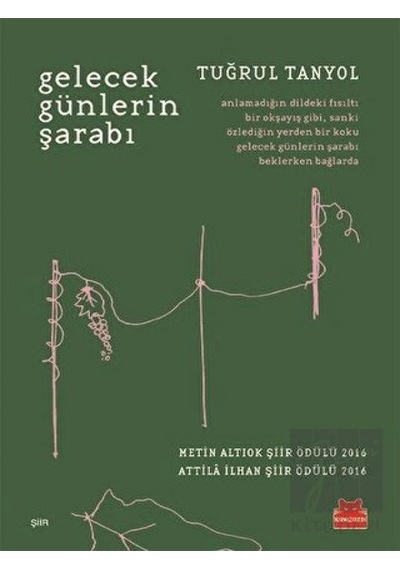 Gelecek Günlerin Şarabı - Tuğrul Tanyol - Kırmızı Kedi