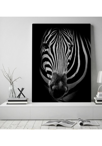 Bk Home Zebra Tasarımlı Kanvas Tablo 50X70Cm-1 (496789512)